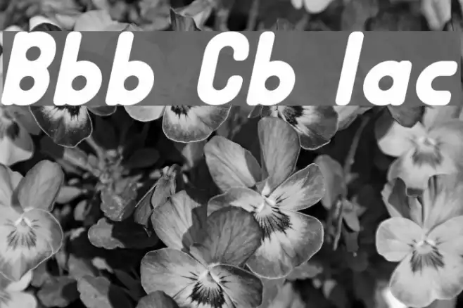 Bubble Club Italic Example 2