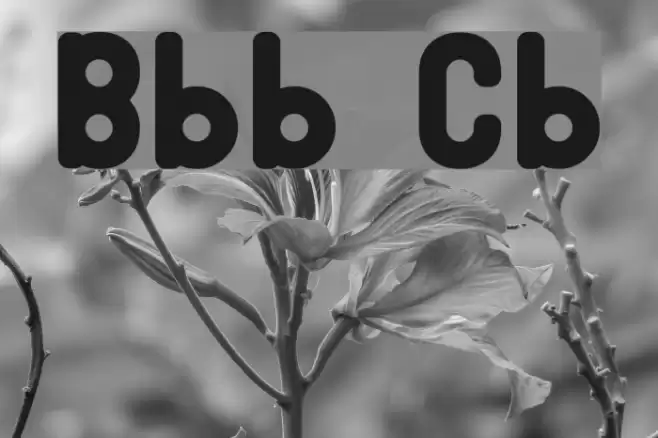 Bubble Club Font examples