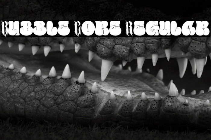 Bubble Core Regular Example 1