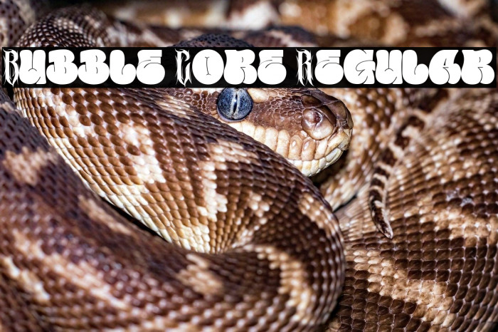 Bubble Core Regular Example 2