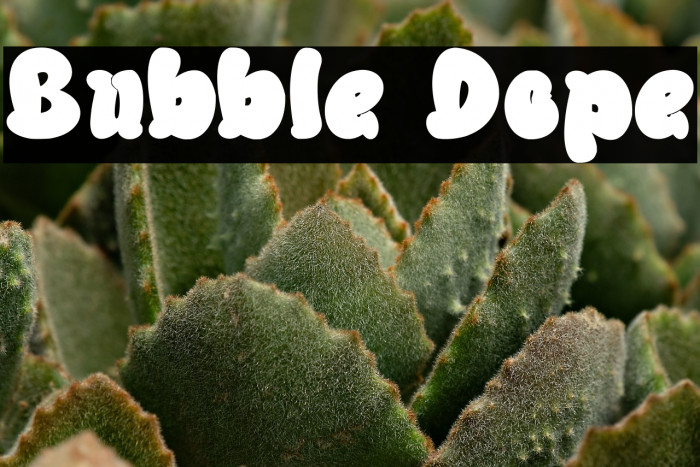 Bubble Dope Example 3