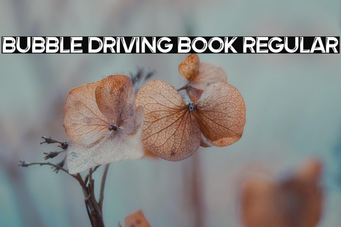 Bubble Driving Book Regular Example 2