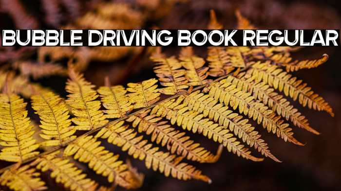 Bubble Driving Book Regular Example 3