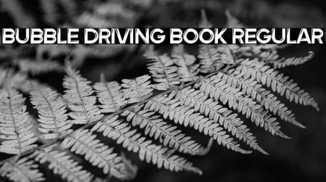 Bubble Driving Book Regular Example 3