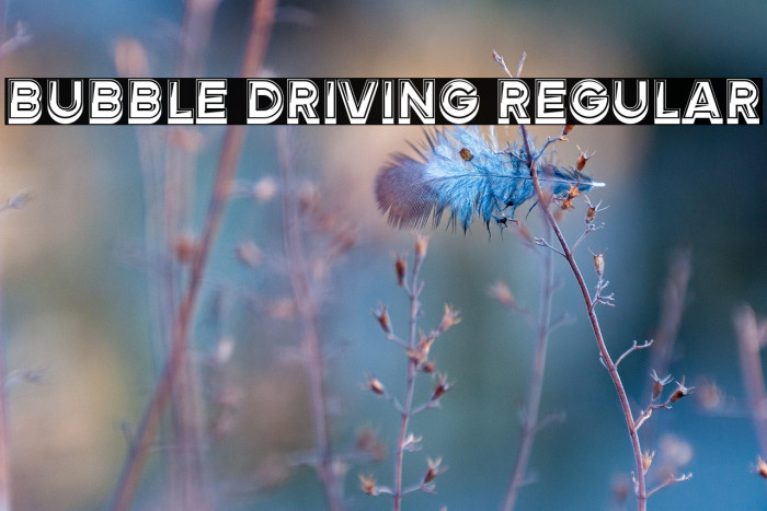 Bubble Driving Regular Example 2