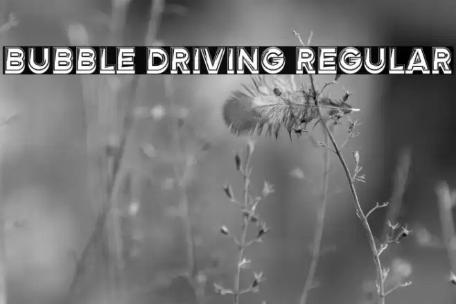 Bubble Driving Regular Font examples