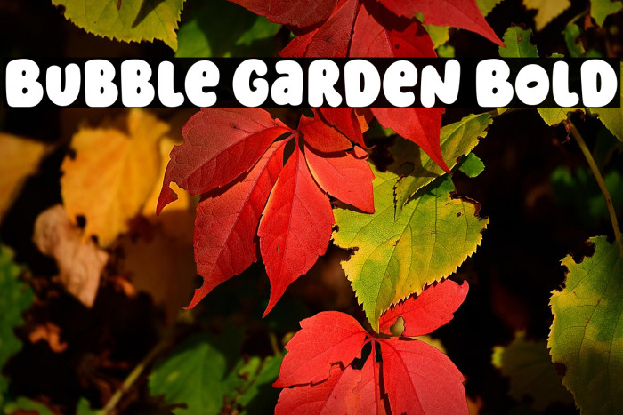 Bubble Garden Bold Example 3
