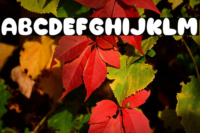 Bubble Gum Example 3