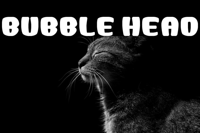 Bubble Head Example 2