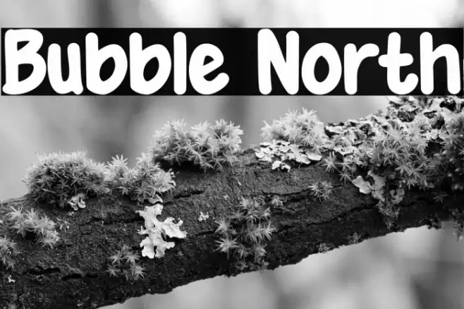 Bubble North Font examples