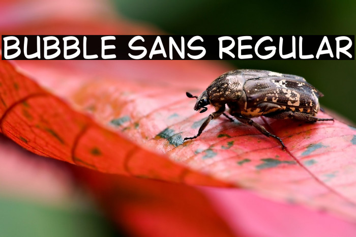 Bubble Sans Regular Example 3