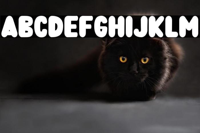 Bubble Water Example 1