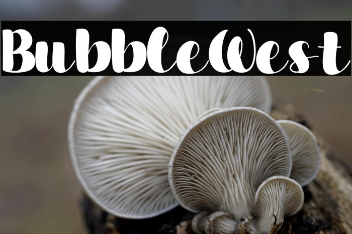 Bubble West Example 3