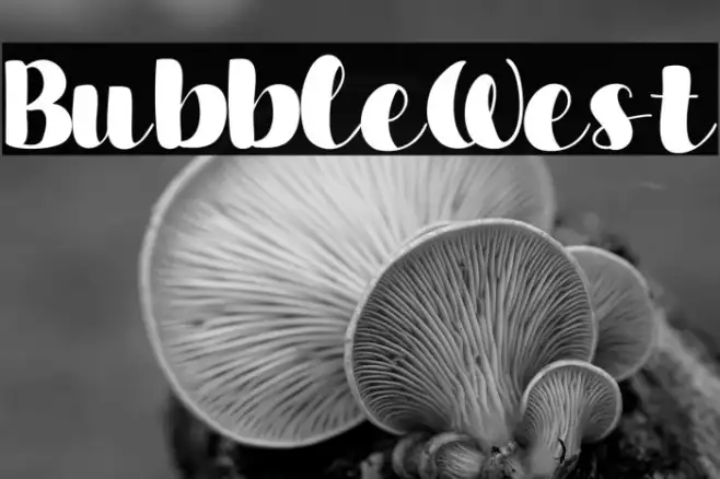 Bubble West Example 3