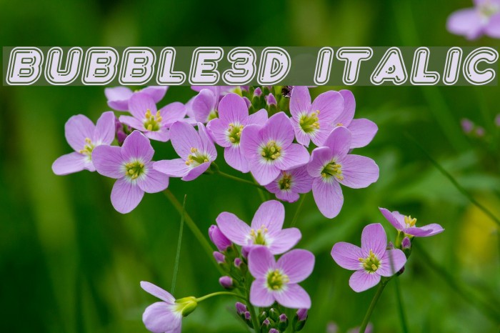 Bubble3D Italic Font examples