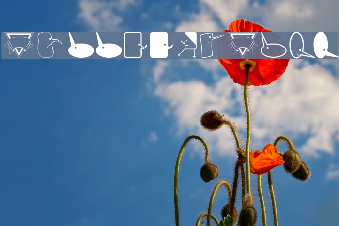 BubbleToBird Example 2