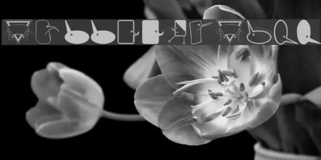 BubbleToBird Font examples