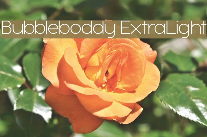 Bubbleboddy ExtraLight Font examples
