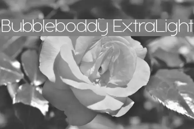 Bubbleboddy ExtraLight Example 1