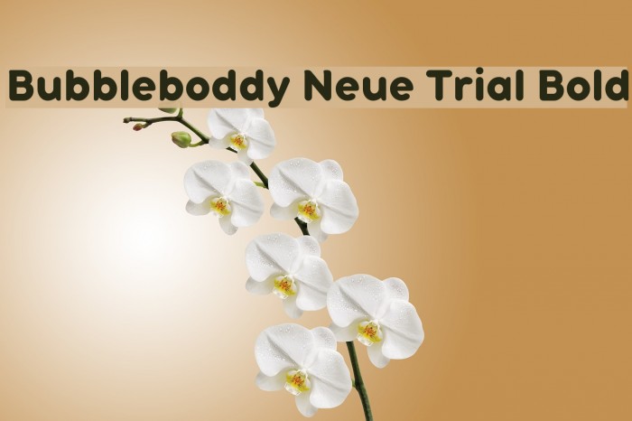 Bubbleboddy Neue Trial Bold Font examples
