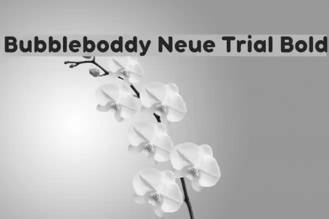 Bubbleboddy Neue Trial Bold Font examples