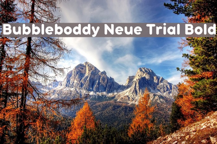 Bubbleboddy Neue Trial Bold Font examples