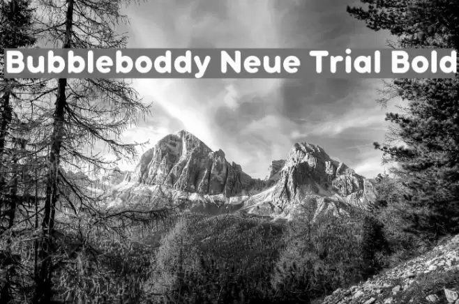 Bubbleboddy Neue Trial Bold Font examples