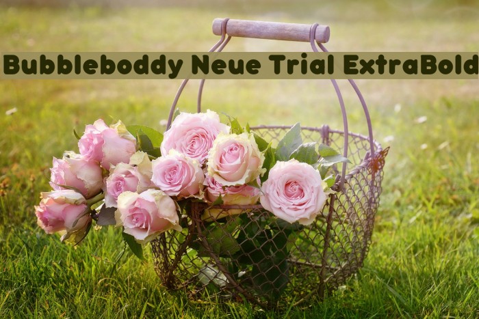 Bubbleboddy Neue Trial ExtraBold Polices examples