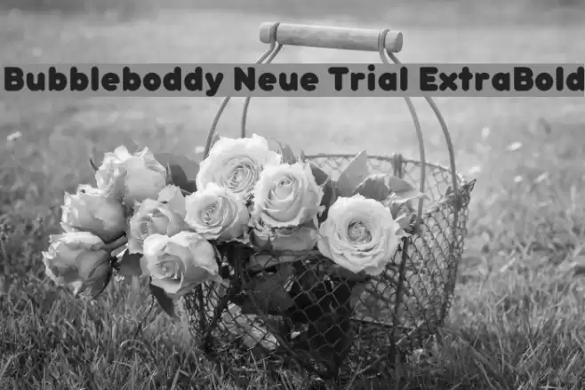 Bubbleboddy Neue Trial ExtraBold Polices examples