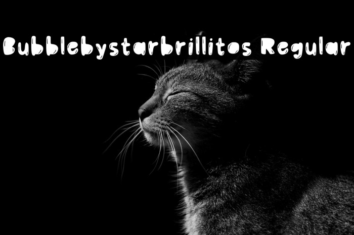 Bubblebystarbrillitos Regular Example 1