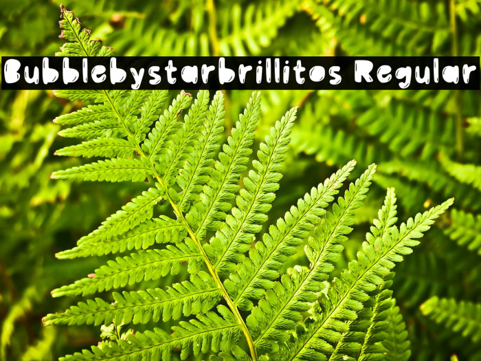 Bubblebystarbrillitos Regular Example 3