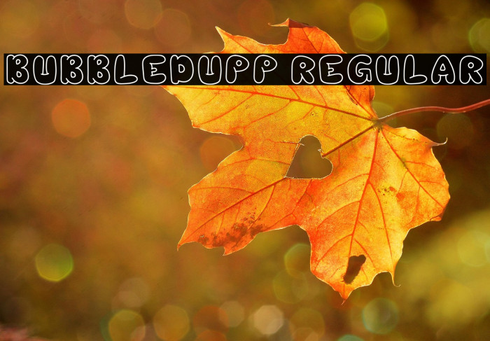 Bubbledupp Regular Example 3