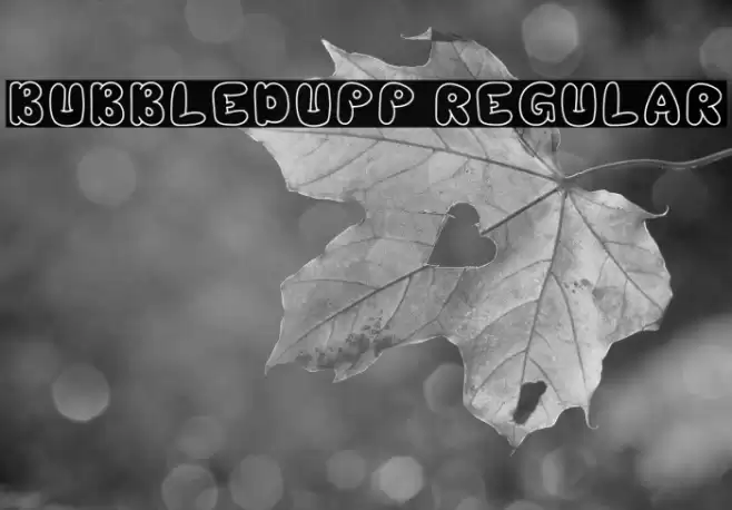 Bubbledupp Regular Caratteri examples