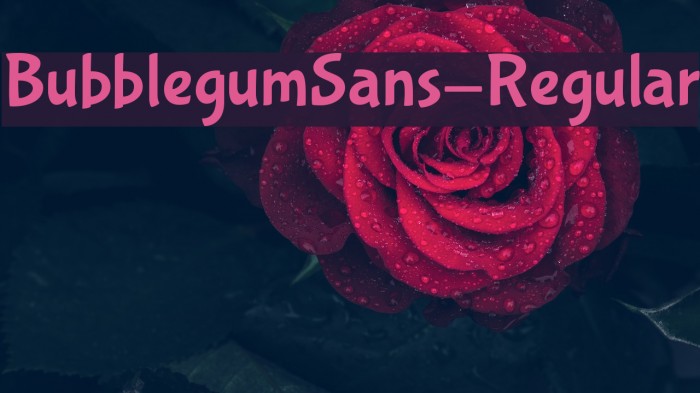 BubblegumSans-Regular Font examples