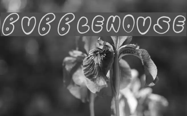 Bubblehouse Font examples