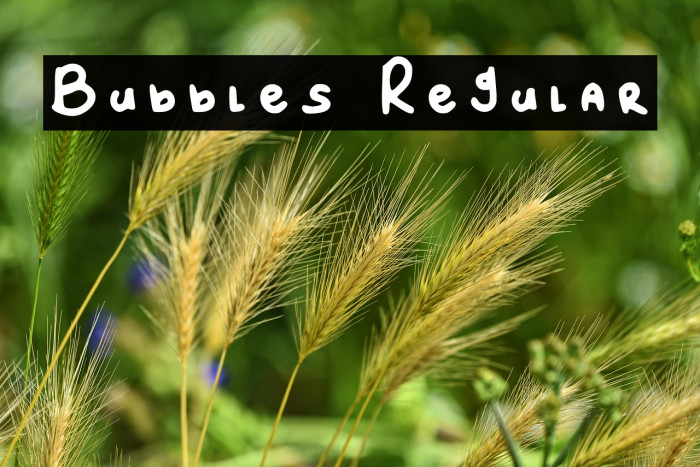 Bubbles Regular Example 2