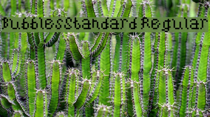 BubblesStandard Regular Font examples