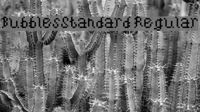 BubblesStandard Regular Example 2
