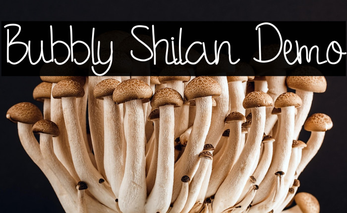 Bubbly Shilan Demo Example 3