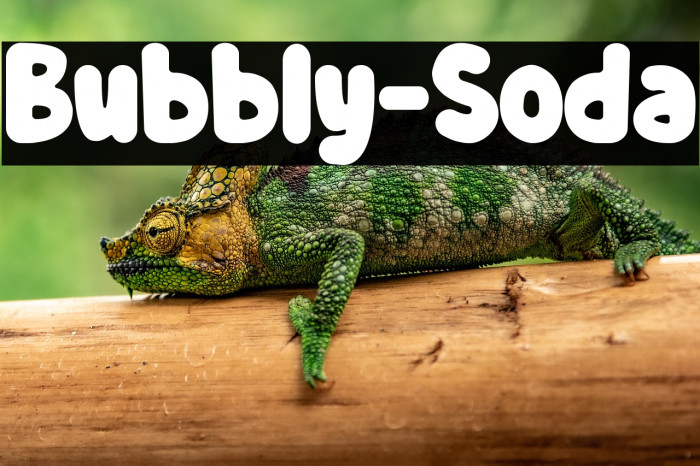 Bubbly-Soda Example 2