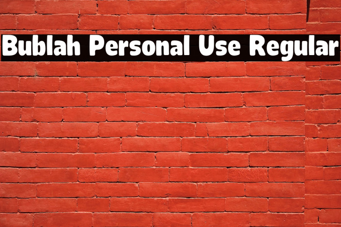 Bublah Personal Use Regular Example 1