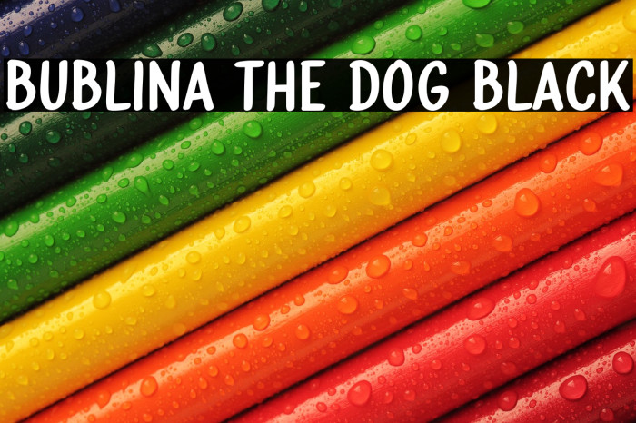 Bublina the Dog Black Example 1