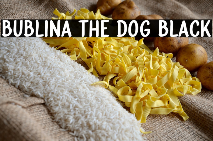 Bublina the Dog Black Example 2