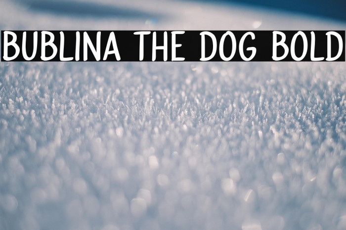 Bublina the Dog Bold Example 2
