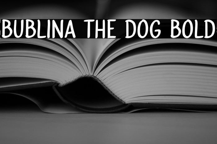 Bublina the Dog Bold Example 3