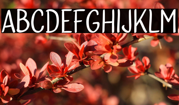 Bublina the Dog Example 1