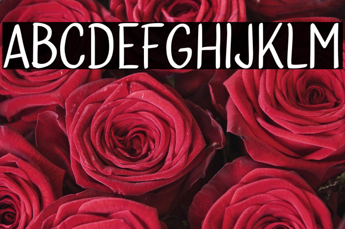 Bublina the Dog Example 3