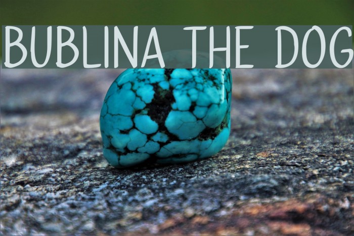 Bublina the Dog Font examples