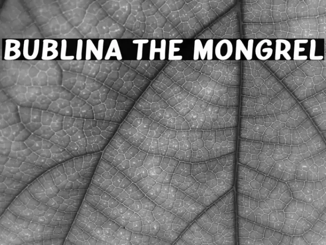 Bublina the Mongrel Font examples