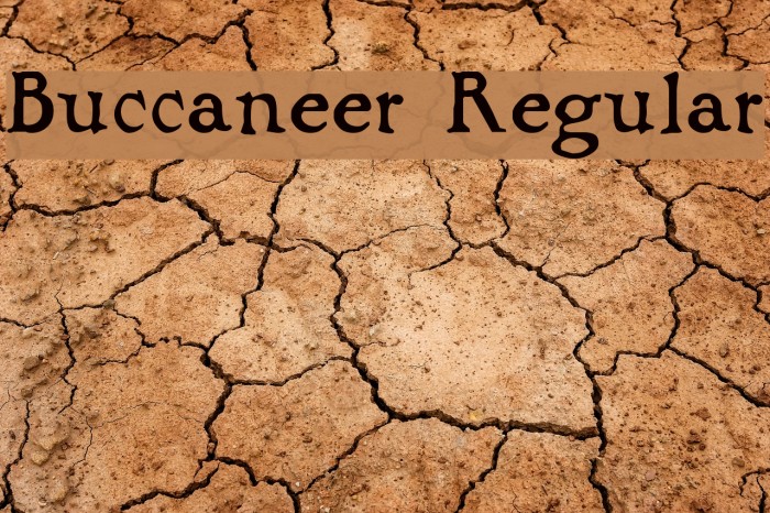 Buccaneer Regular Font examples